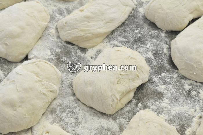 Patons sortis de la diviseuse - gryphea.com